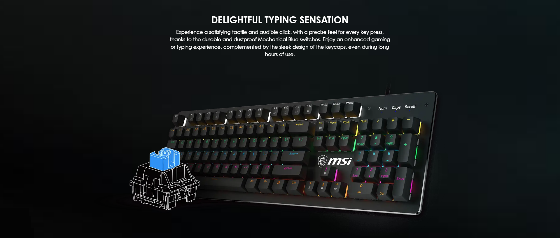 A large marketing image providing additional information about the product MSI Forge GK300 RGB Mechanical Gaming Keyboard - Blue Switch - Additional alt info not provided